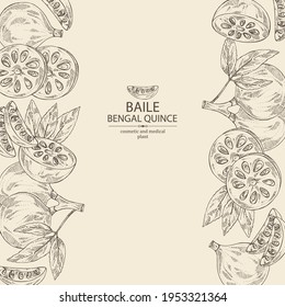 Background with bengal quince: baile fruit and bengal quince slice. Sacred plant. Cosmetic and medical plant. Vector hand drawn illustration