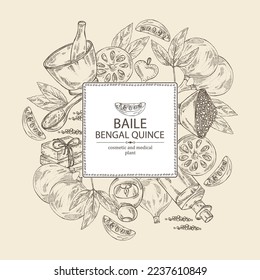 Background with bengal quince: baile fruit, bengal quince slice. Sacred plant. Oil, soap and bath salt . Cosmetics and medical plant. Vector hand drawn illustration