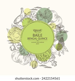 Background with bengal quince: baile fruit, bengal quince slice. Sacred plant. Oil, soap and bath salt . Cosmetics and medical plant. Vector hand drawn illustration