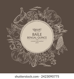 Background with bengal quince: baile fruit, bengal quince slice. Sacred plant. Oil, soap and bath salt . Cosmetics and medical plant. Vector hand drawn illustration