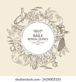 Background with bengal quince: baile fruit, bengal quince slice. Sacred plant. Oil, soap and bath salt . Cosmetics and medical plant. Vector hand drawn illustration