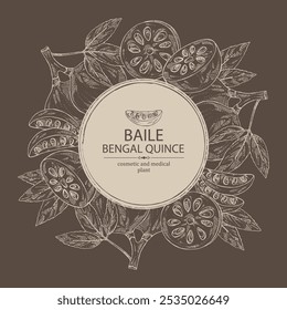 Background with bengal quince: baile fruit and bengal quince slice. Sacred plant. Cosmetic and medical plant. Vector hand drawn illustration