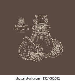 Background with bergamot and bottle of bergamot essential oil. Cosmetic, perfumery and medical plant. Vector hand drawn