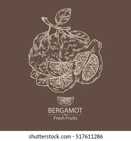Background with bergamot and and bergamot slice. hand drawn .