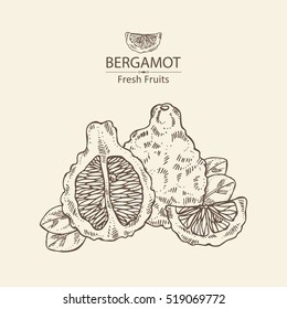 Background with bergamot and and bergamot slice. hand drawn .