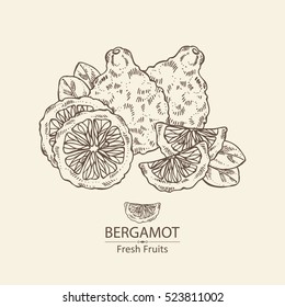 Background with bergamot and slice. hand drawn