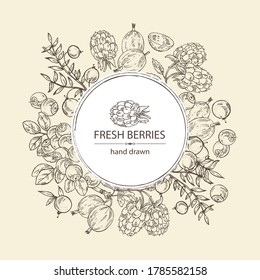 Background with berries: bilberry, cranberry, blackberry and gooseberry. Vector hand drawn illustration.