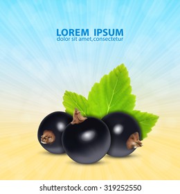 Background with berries of black currant and green leaf. EPS10