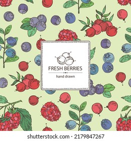 Background with berries: blueberry, raspberries, bog whortleberry and  cranberry. Vector hand drawn illustration.