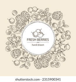 Background with berries: blueberry, raspberries, bog whortleberry and  cranberry. Vector hand drawn illustration.