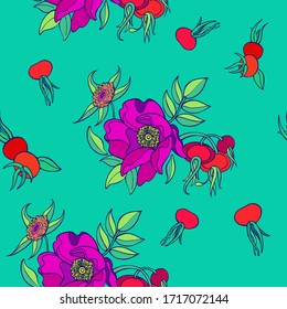 Background with berries, flowers and leaves of wild roses. Vector seamless pattern of rosehip