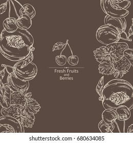 Background with berries and fruits: cherry, plum, peach and strawberry. Vector hand drawn illustration