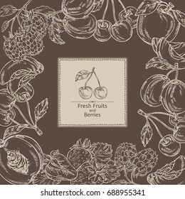 Background with berries and fruits: cherry, plum, peach and strawberry. Vector hand drawn illustration