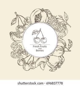 Background with berries and fruits: cherry, plum, peach and strawberry. Vector hand drawn illustration