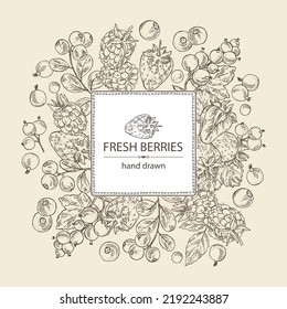 Background with berries: lingonberries, blackberry, black currant and strawberries. Vector hand drawn illustration.