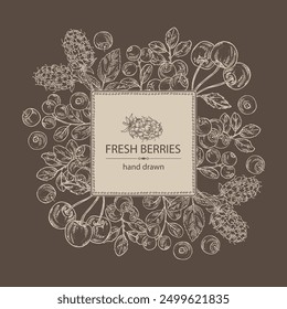 Background with  berries: lingonberries, cherry, bilberry and boysenberry. Vector hand drawn illustration.