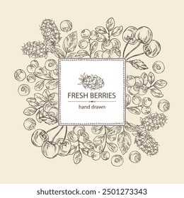 Background with  berries: lingonberries, cherry, bilberry and boysenberry. Vector hand drawn illustration.