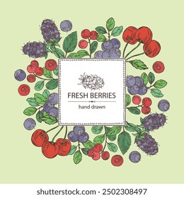 Background with  berries: lingonberries, cherry, bilberry and boysenberry. Vector hand drawn illustration.