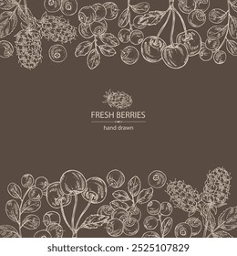 Fundo com bagas: airelas, cereja, mirtilo e boysenberry. Ilustração desenhada à mão vetorial.