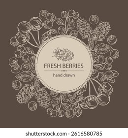 Background with  berries: lingonberries, cherry, bilberry and boysenberry. Vector hand drawn illustration.