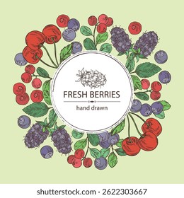 Background with  berries: lingonberries, cherry, bilberry and boysenberry. Vector hand drawn illustration.