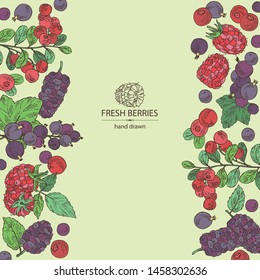 Background with berries: raspberry, mulberry, lingonberries and black currant. Vector hand drawn illustration.