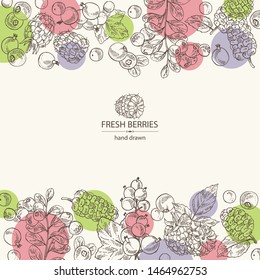 Background with berries: raspberry, mulberry, lingonberries and black currant. Vector hand drawn illustration.