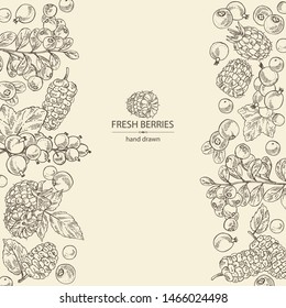 Background with berries: raspberry, mulberry, lingonberries and black currant. Vector hand drawn illustration.