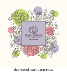 Background with berries: raspberry, mulberry, lingonberries and black currant. Vector hand drawn illustration.