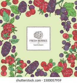 Background with berries: raspberry, mulberry, lingonberries and black currant. Vector hand drawn illustration.