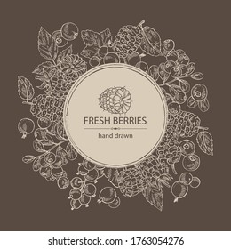 Background with berries: raspberry, mulberry, lingonberries and black currant. Vector hand drawn illustration.