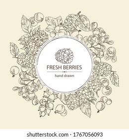 Background with berries: raspberry, mulberry, lingonberries and black currant. Vector hand drawn illustration.