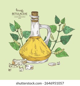 Fundo com betulaceae: folhas de bétula, ramo de bétula, árvore de betulaceae, casca de betulaceae e frasco de óleo de betulaceae. Ilustração desenhada à mão vetorial.