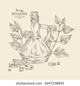 Fundo com betulaceae: folhas de bétula, ramo de bétula, árvore de betulaceae, casca de betulaceae e frasco de óleo de betulaceae. Ilustração desenhada à mão vetorial.