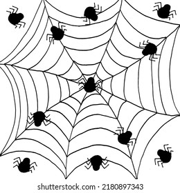 Background with big spiderweb with black spider drawn black marker on white paper. Halloween concept with web.