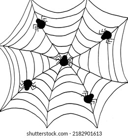 Background with big spiderweb with black spider drawn black marker on white paper. Halloween concept with web.