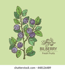 Background with bilberry . hand drawn