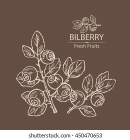 Background with bilberry . hand drawn