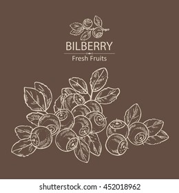 Background with bilberry . hand drawn