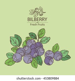 Background with bilberry . hand drawn