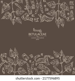 Background with birch: birch leaves, birch branch, betulaceae tree and betulaceae bark. Cosmetics and medical plant. Vector hand drawn illustration.