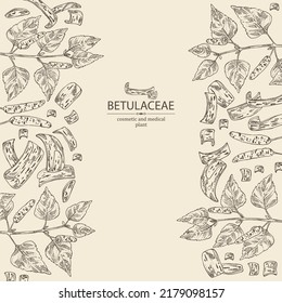 Background with birch: birch leaves, birch branch, betulaceae tree and betulaceae bark. Cosmetics and medical plant. Vector hand drawn illustration.