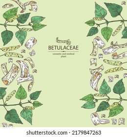 Background with birch: birch leaves, birch branch, betulaceae tree and betulaceae bark. Cosmetics and medical plant. Vector hand drawn illustration.