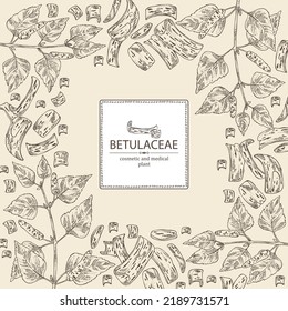 Background with birch: birch leaves, birch branch, betulaceae tree and betulaceae bark. Cosmetics and medical plant. Vector hand drawn illustration.