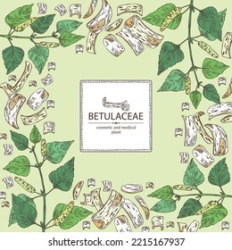 Background with birch: birch leaves, birch branch, betulaceae tree and betulaceae bark. Cosmetics and medical plant. Vector hand drawn illustration.