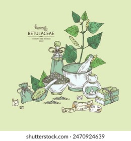 Background with  birch: birch leaves, birch branch, betulaceae tree and betulaceae bark.  Oil, soap and bath salt . Cosmetics and medical plant. Vector hand drawn illustration