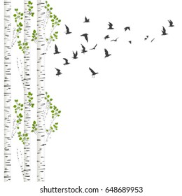 Background with birch trees and birds flying svg