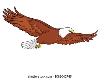 Background Bird Eagle Falcon Vector Illustration Stock Vector (Royalty ...