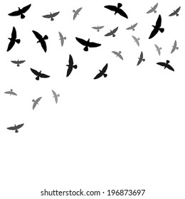 Background with birds silhouettes