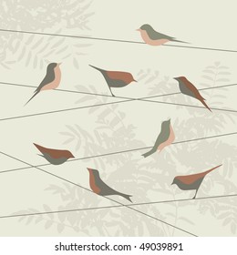 Background with birds, and space for your text
